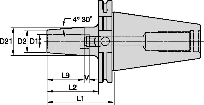 DV50 TT GL D1=10MM L1=80MM