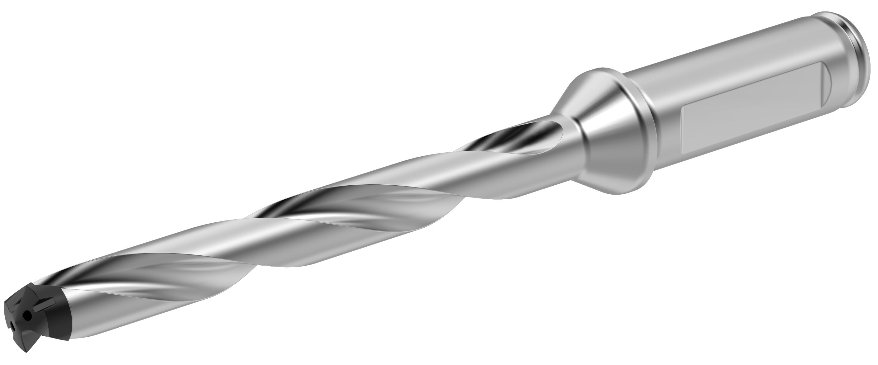 BORRKROPP 17,0-17,99 SCF 8xD